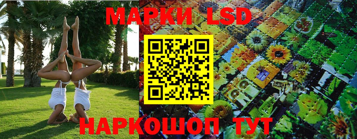 Прохладный  Наркотические марки 1,5мг  Марки 25I-NBOMe  Вход с VPN  Наркотические марки 1,5мг 