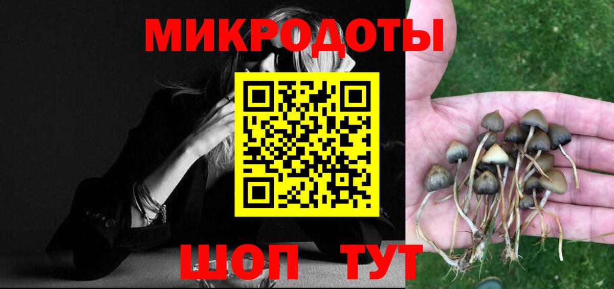 Прохладный  Псилоцибиновые грибы прущие грибы  Вход с VPN  Галлюциногенные грибы мицелий 